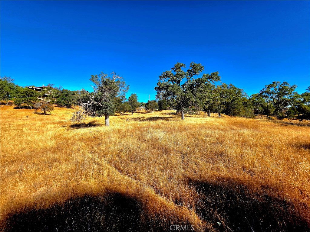 1 Lilley Mountain Dr, Coarsegold, CA 93614