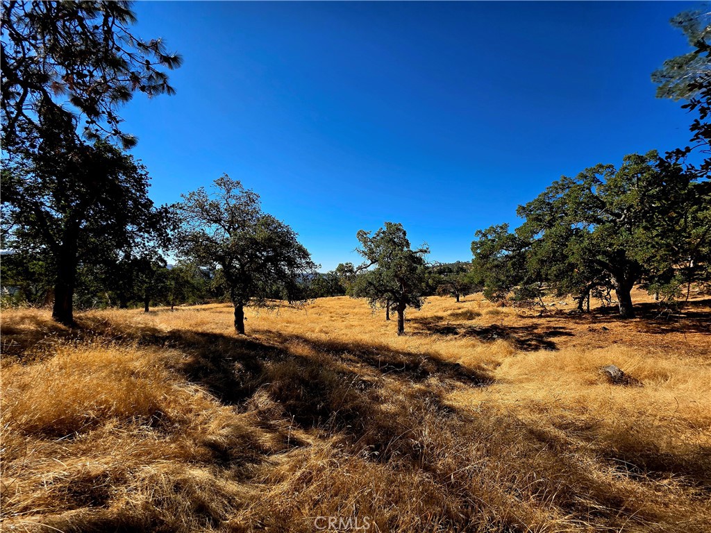 1 Lilley Mountain Dr, Coarsegold, CA 93614