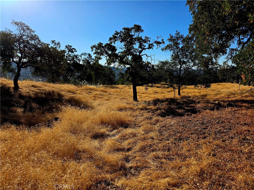 1 Lilley Mountain Dr, Coarsegold, CA 93614