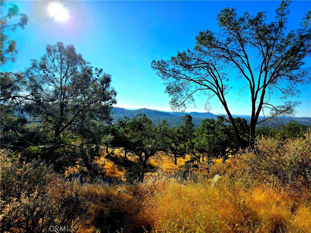 1 Lilley Mountain Dr, Coarsegold, CA 93614