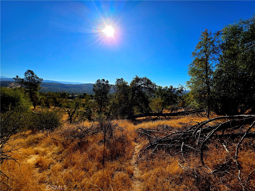 1 Lilley Mountain Dr, Coarsegold, CA 93614