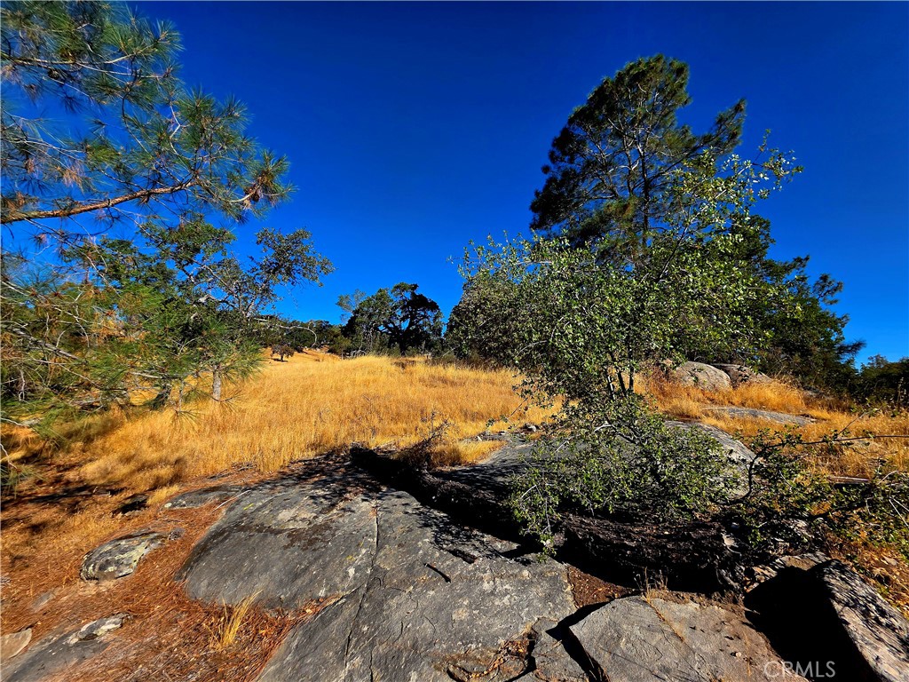 1 Lilley Mountain Dr, Coarsegold, CA 93614