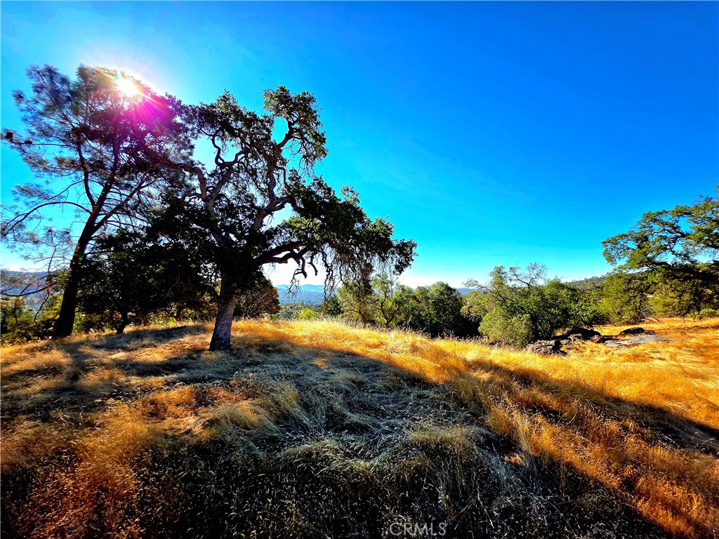 1 Lilley Mountain Dr, Coarsegold, CA 93614