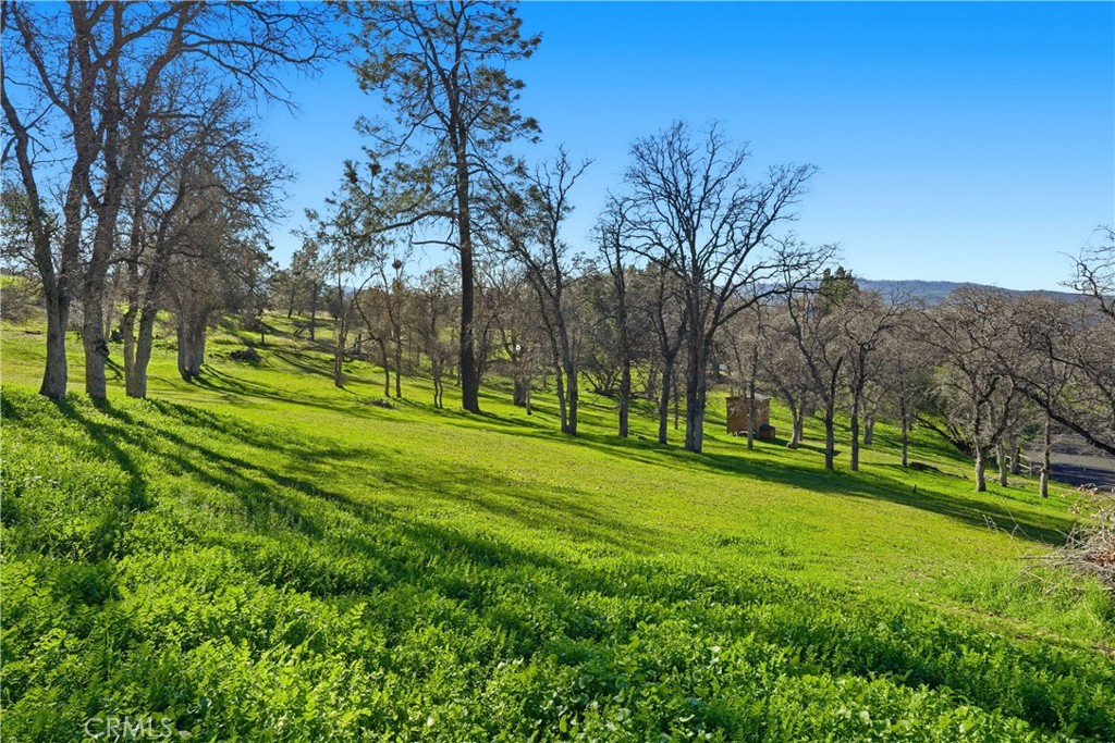 33032 Mill Creek Way, Coarsegold, CA 93614