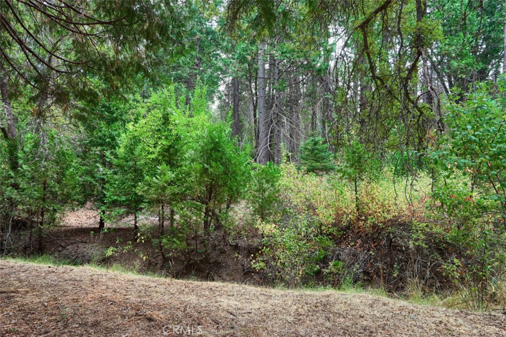 7115 Hites Cove Rd, Mariposa, CA 95338