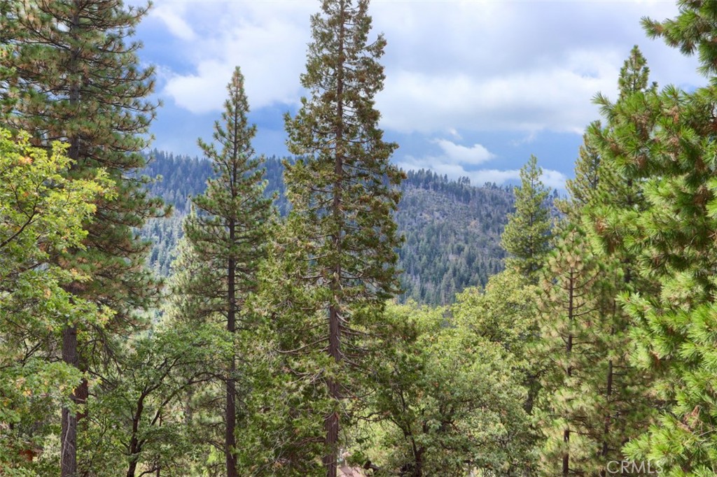 7497 Yosemite Park Way, Yosemite, CA 95389