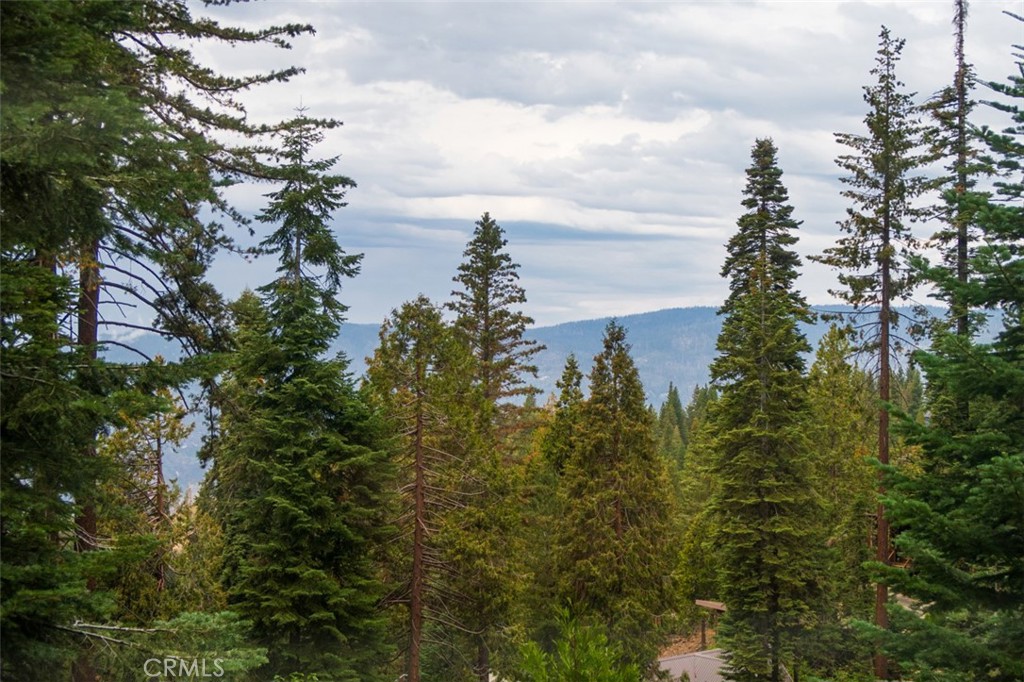 7497 Yosemite Park Way, Yosemite, CA 95389