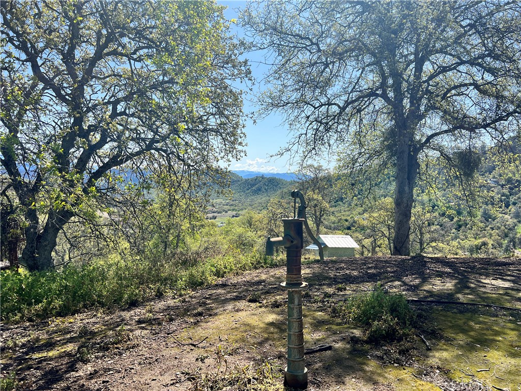 29290 Larkspur Rd, Tollhouse, CA 93667