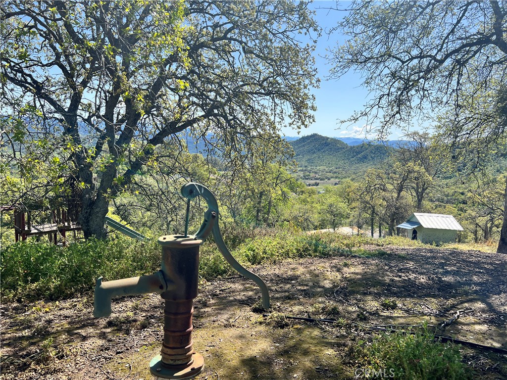 29290 Larkspur Rd, Tollhouse, CA 93667