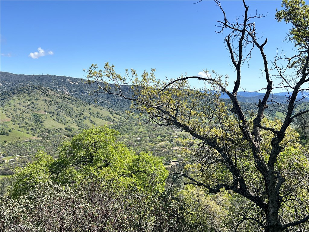 29290 Larkspur Rd, Tollhouse, CA 93667