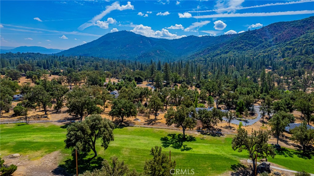 41028 Shandee Ln, Ahwahnee, CA 93601