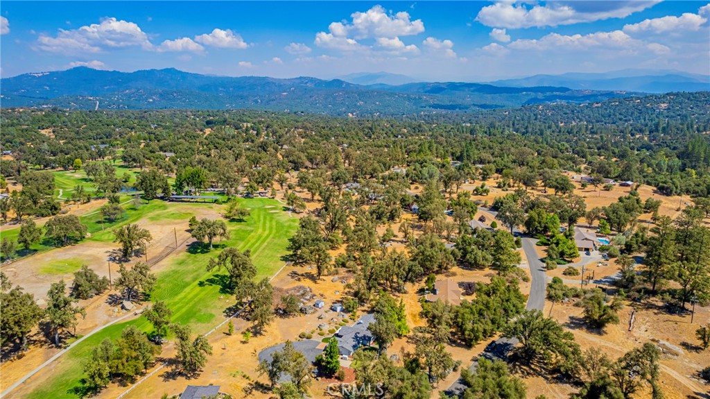 41028 Shandee Ln, Ahwahnee, CA 93601