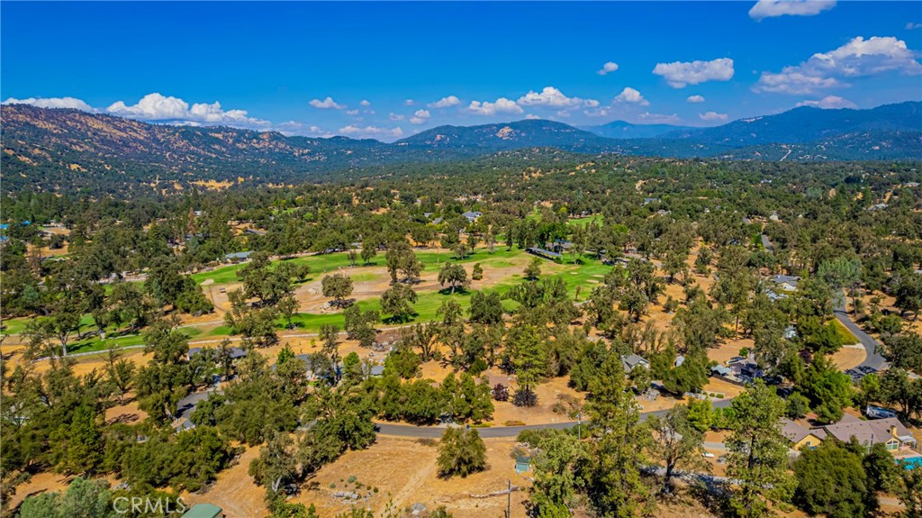 41028 Shandee Ln, Ahwahnee, CA 93601