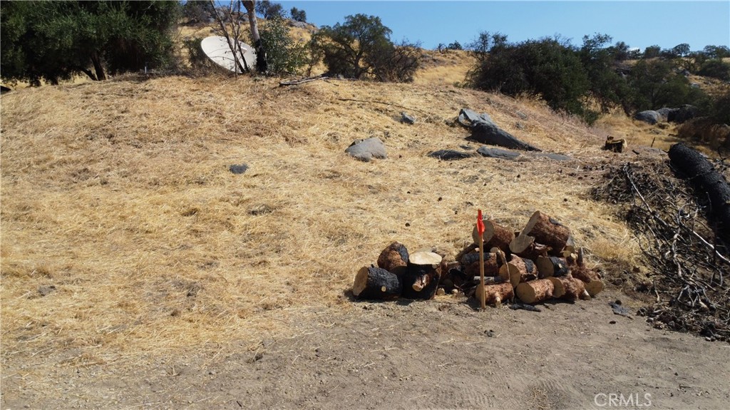 38938 Pepperweed Rd, Squaw Valley, CA 93675