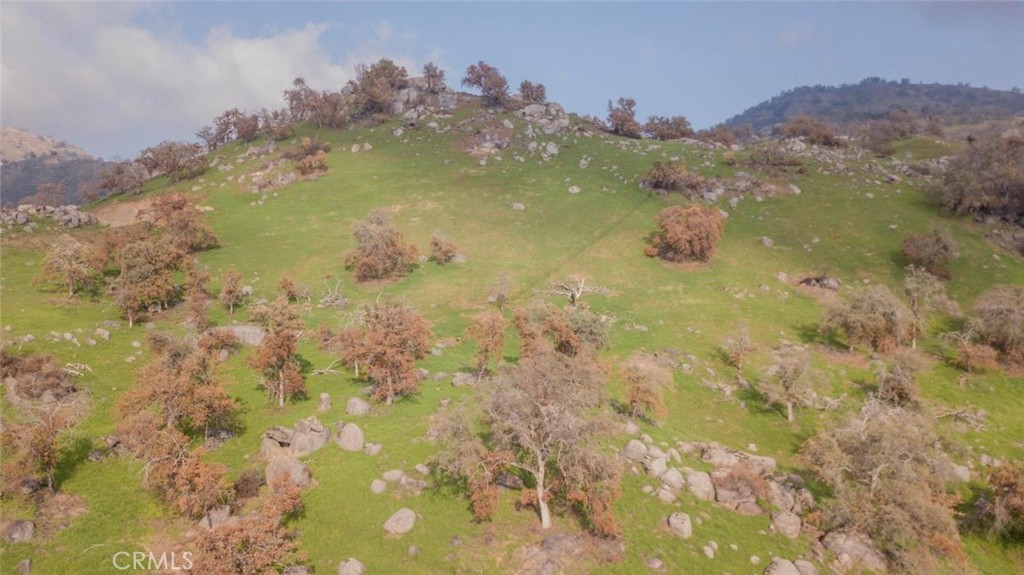 38938 Pepperweed Rd, Squaw Valley, CA 93675