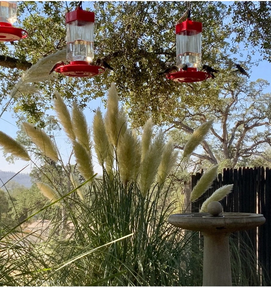 43656 Crystal Cave Cir, Coarsegold, CA 93614