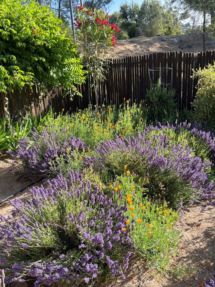 43656 Crystal Cave Cir, Coarsegold, CA 93614