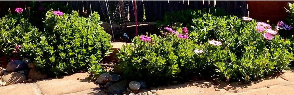 43656 Crystal Cave Cir, Coarsegold, CA 93614