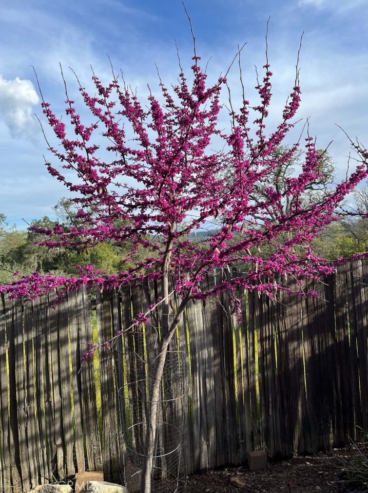 43656 Crystal Cave Cir, Coarsegold, CA 93614