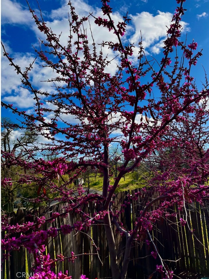 43656 Crystal Cave Cir, Coarsegold, CA 93614