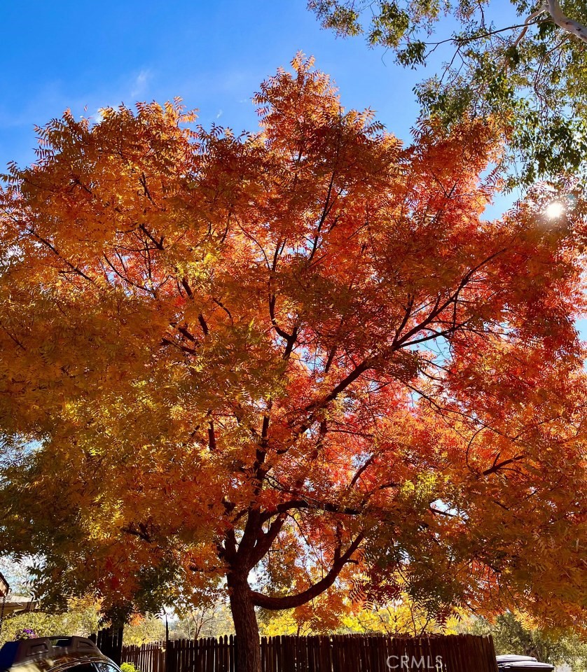 43656 Crystal Cave Cir, Coarsegold, CA 93614