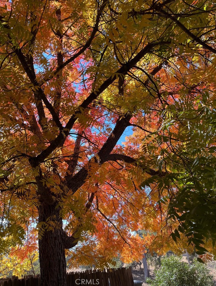 43656 Crystal Cave Cir, Coarsegold, CA 93614