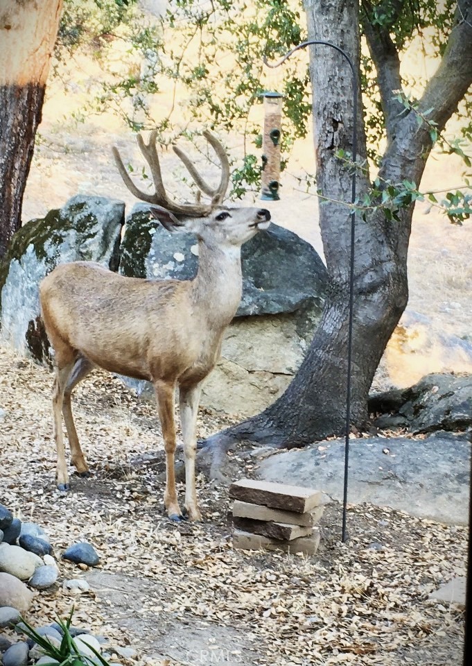 43656 Crystal Cave Cir, Coarsegold, CA 93614