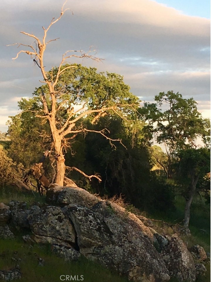 43656 Crystal Cave Cir, Coarsegold, CA 93614