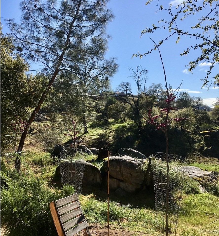 43656 Crystal Cave Cir, Coarsegold, CA 93614