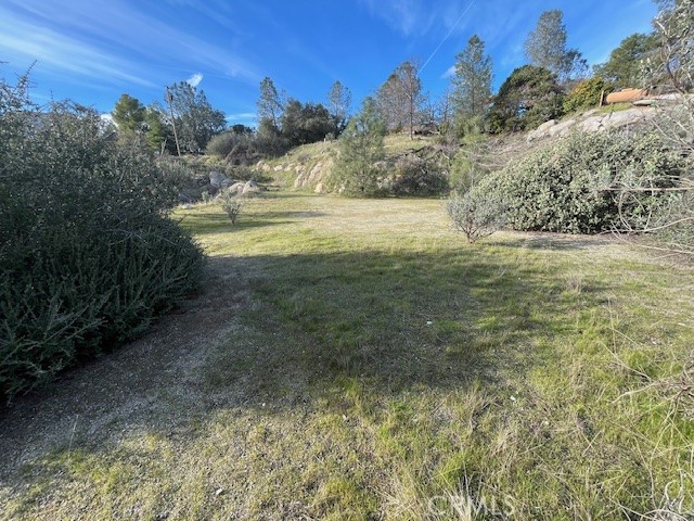 1713 S Longhollow Ct, Coarsegold, CA 93614