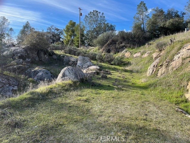 1713 S Longhollow Ct, Coarsegold, CA 93614