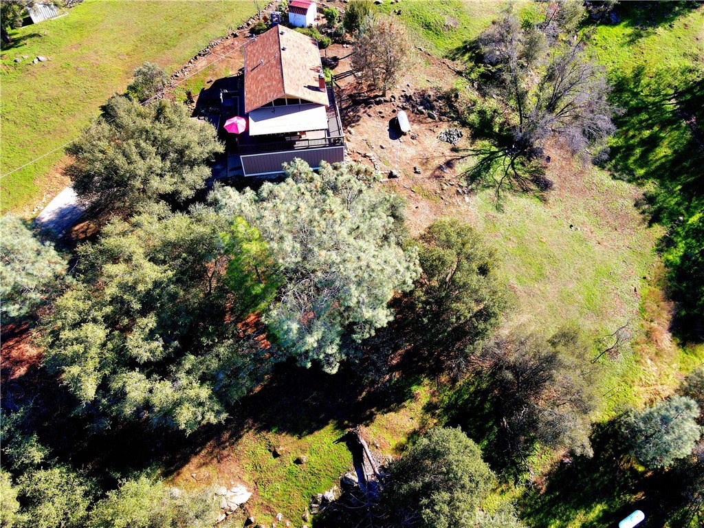 43629 Ranger Circle Dr, Coarsegold, CA 93614