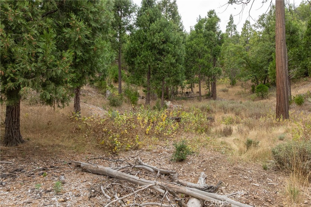 26 Timberview, North Fork, CA 93643