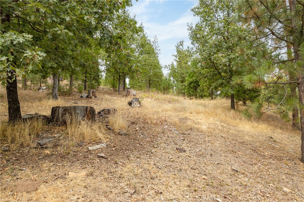 26 Timberview, North Fork, CA 93643