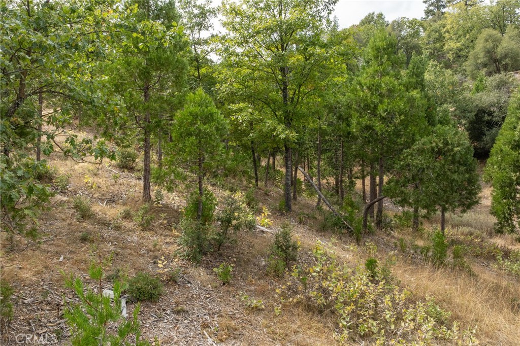 26 Timberview, North Fork, CA 93643