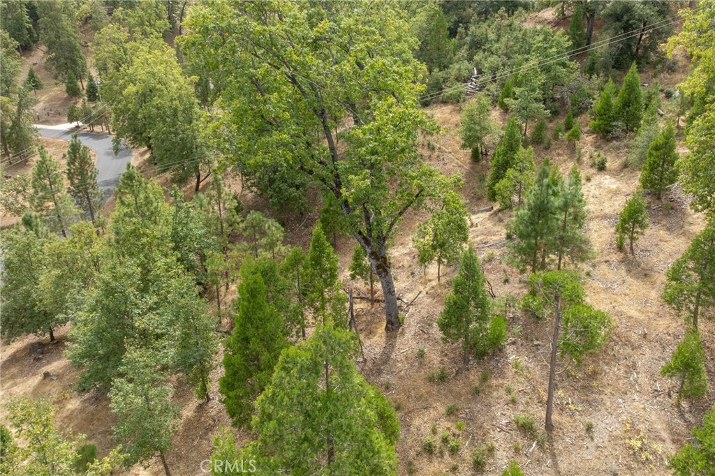 26 Timberview, North Fork, CA 93643