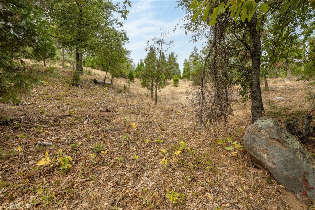 26 Timberview, North Fork, CA 93643