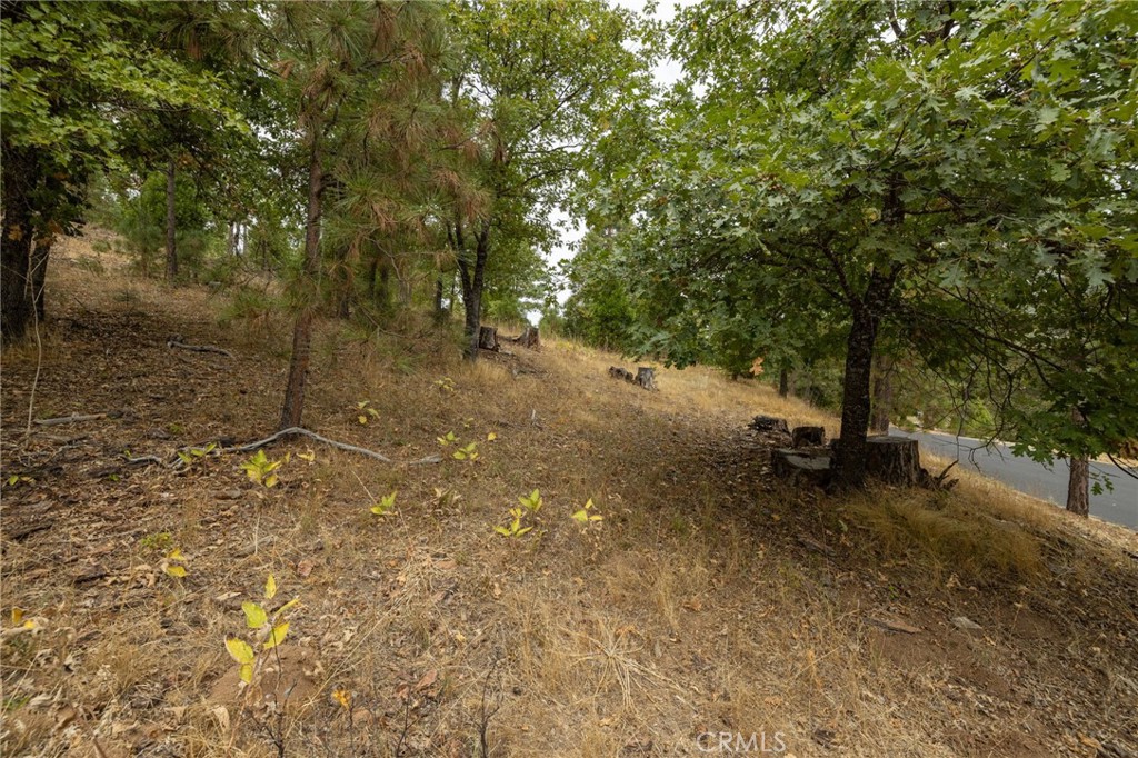 26 Timberview, North Fork, CA 93643