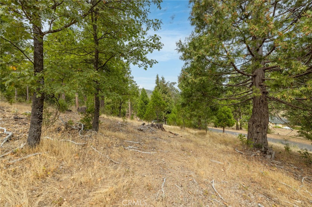 26 Timberview, North Fork, CA 93643