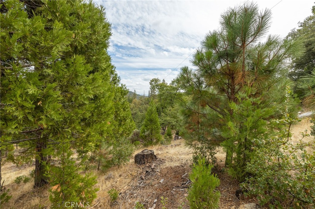 26 Timberview, North Fork, CA 93643