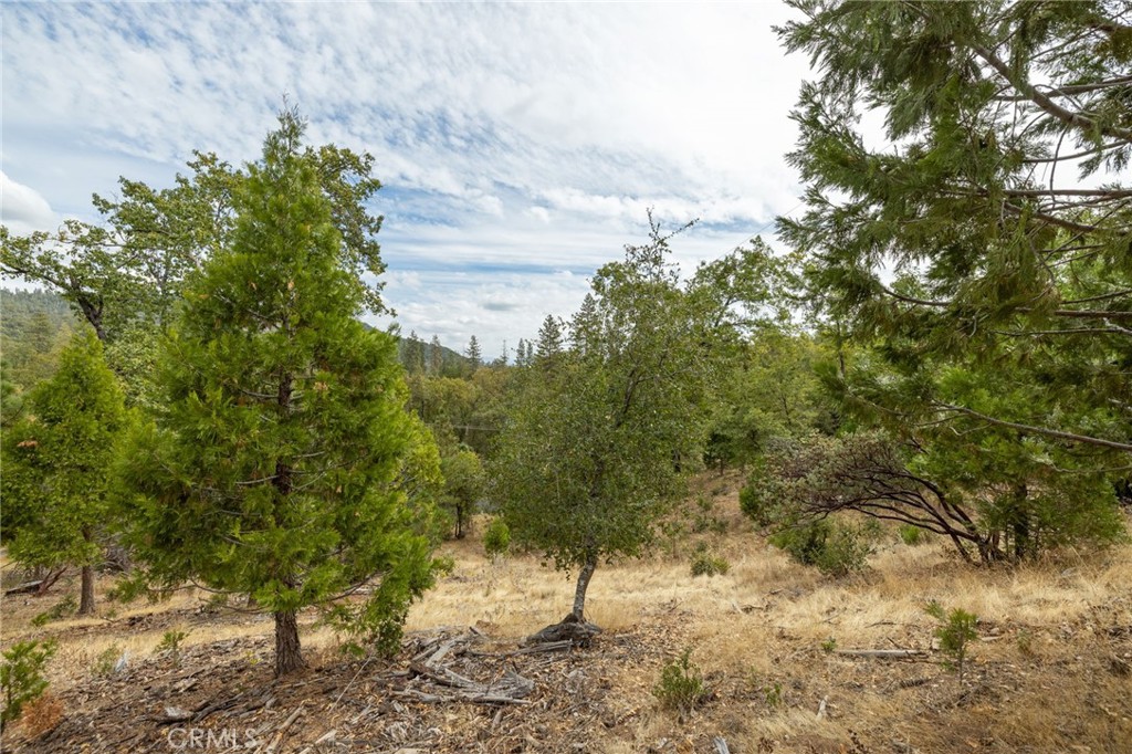 26 Timberview, North Fork, CA 93643