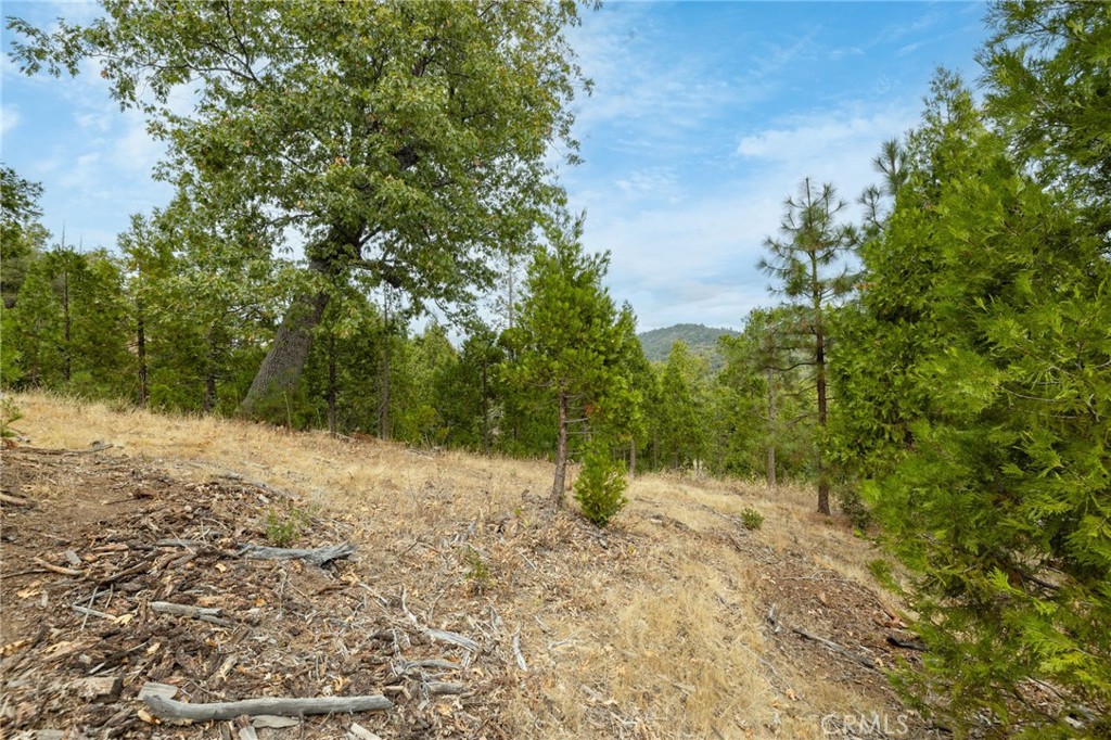 26 Timberview, North Fork, CA 93643