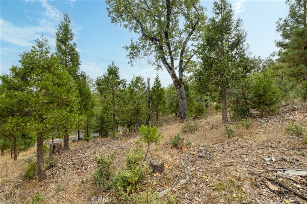 26 Timberview, North Fork, CA 93643