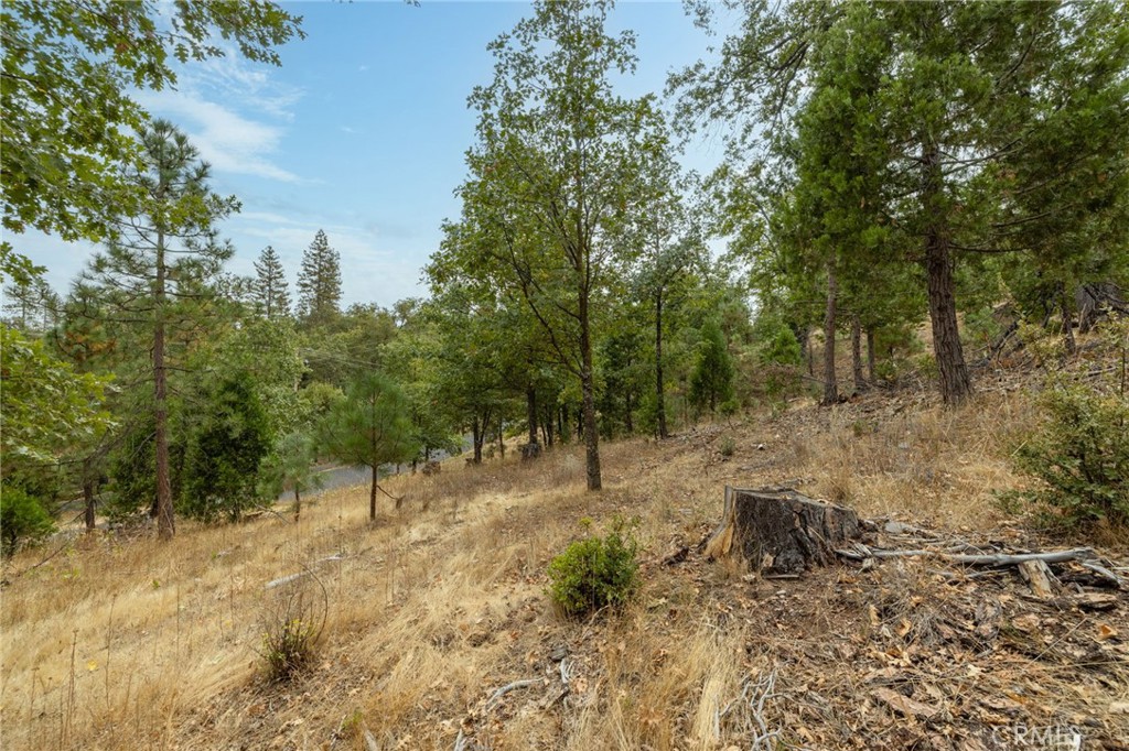 26 Timberview, North Fork, CA 93643