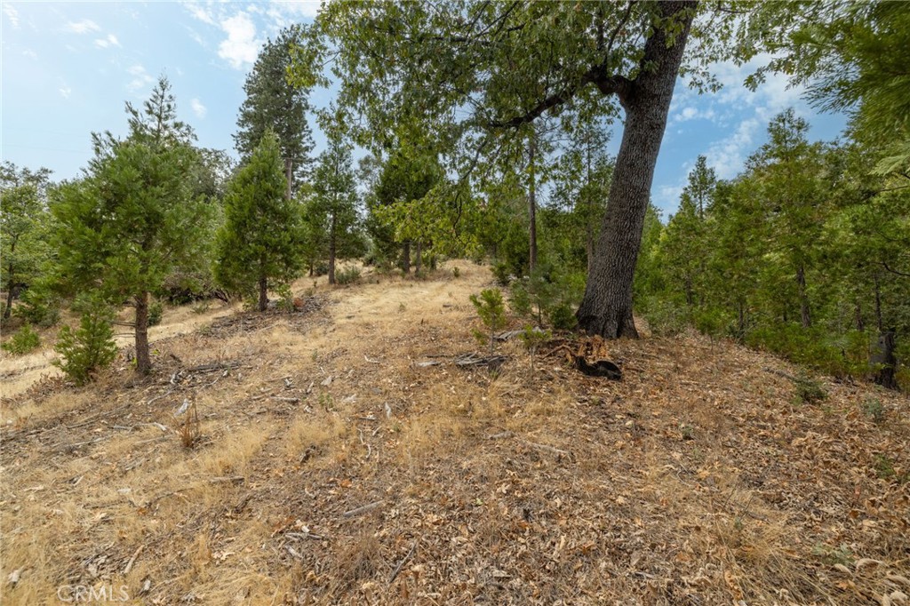 26 Timberview, North Fork, CA 93643