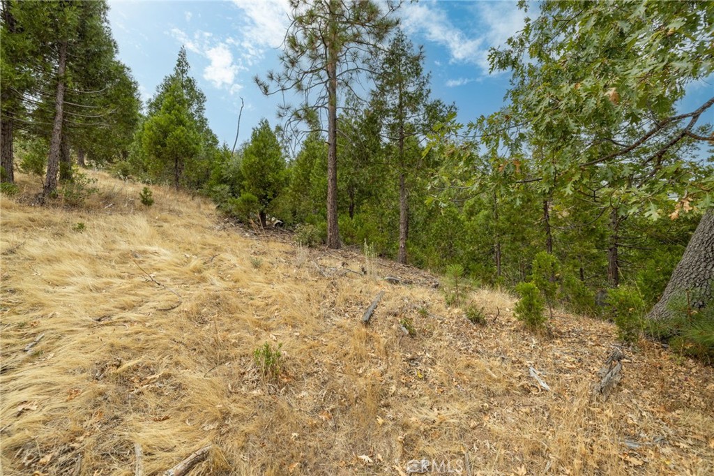 26 Timberview, North Fork, CA 93643