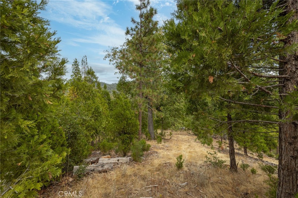 26 Timberview, North Fork, CA 93643