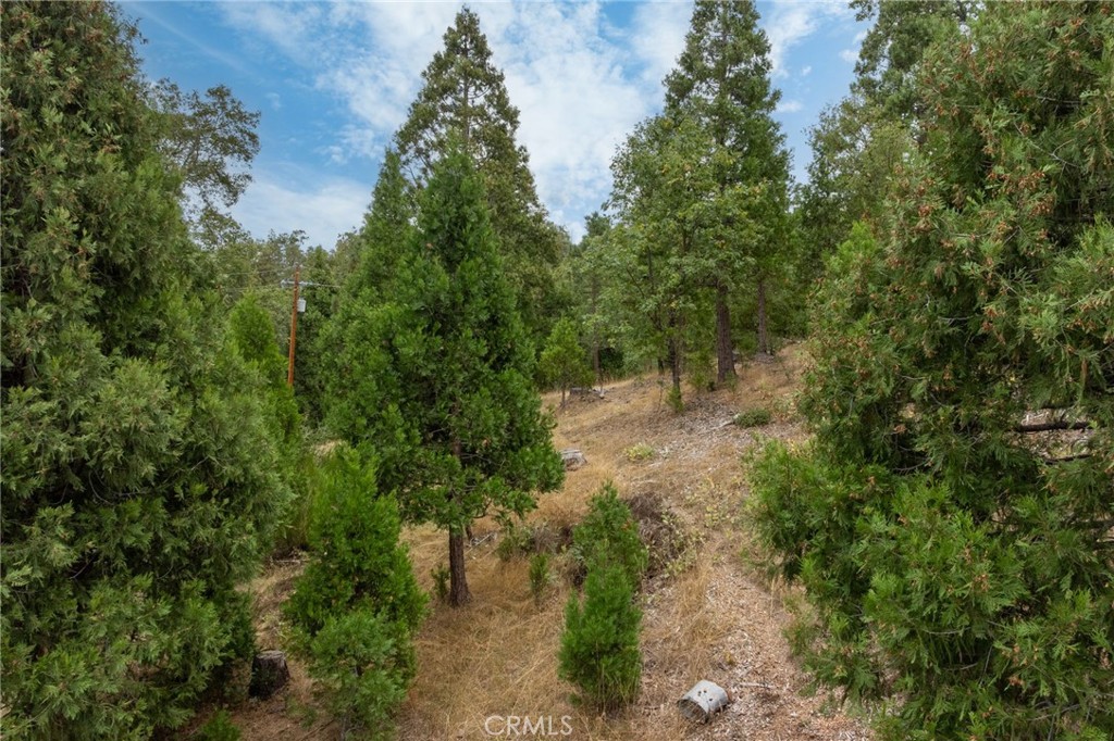 26 Timberview, North Fork, CA 93643