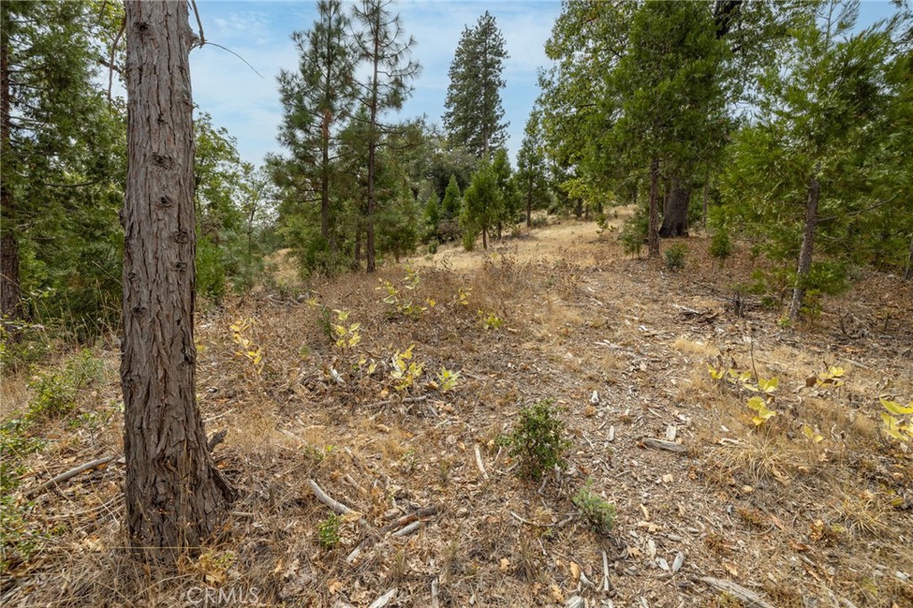 26 Timberview, North Fork, CA 93643