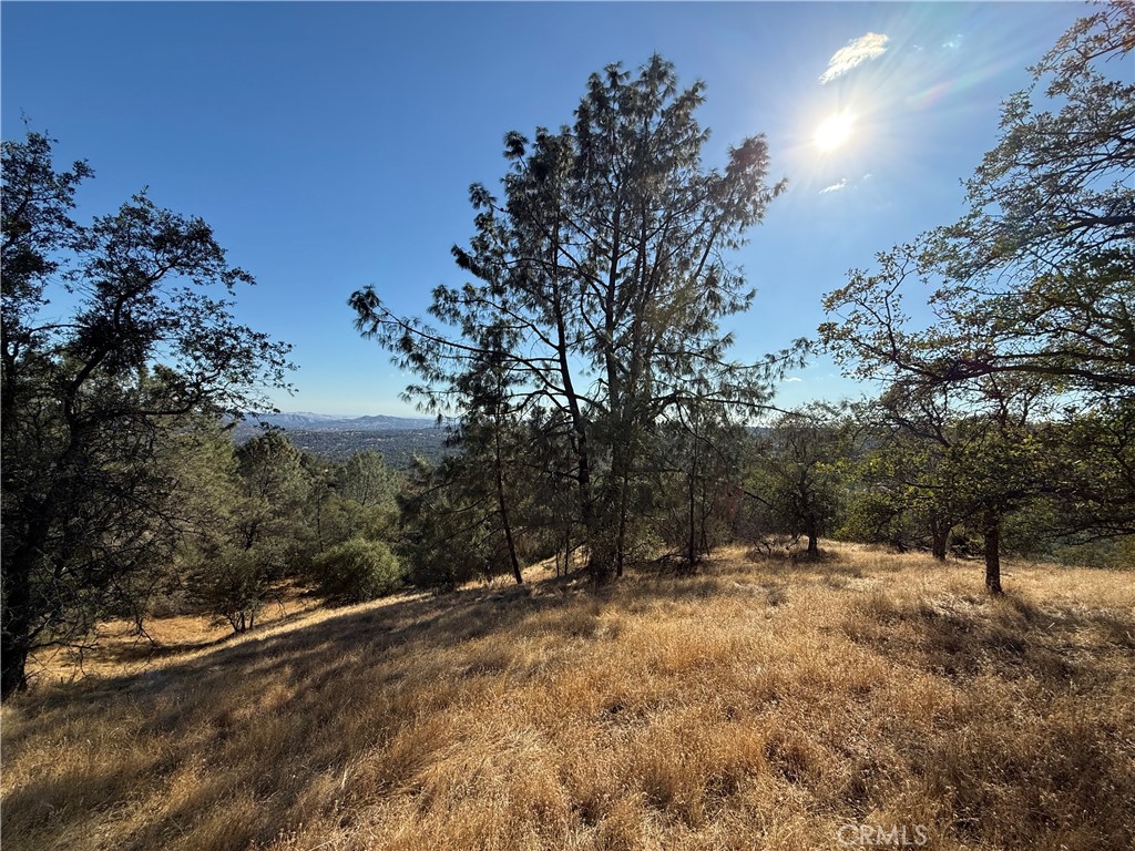 0 39.12 AC Ward Mountain, O'Neals, CA 92645